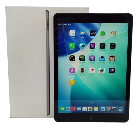 Apple iPad 9na Generación - Gris Espacial 64 GB 10.2" (G)